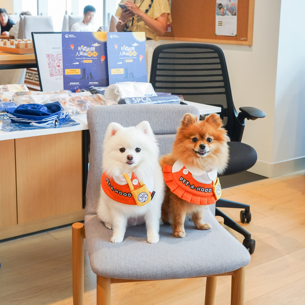 PET-A-HOOD : TAKE YOUR PET TO WORK DAY