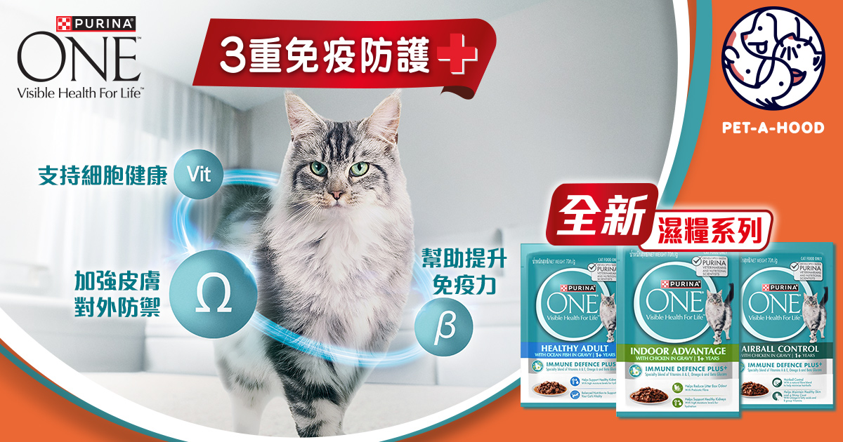 PURINA ONE® 全新貓濕糧 為貓貓提供3重免疫防護 | 立即索取體驗包