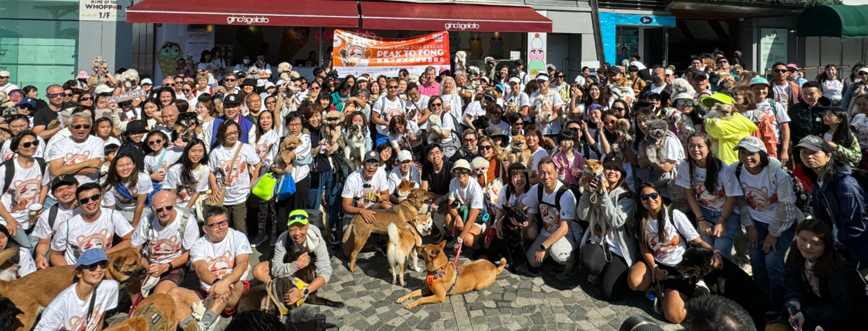 Dog Fun Fundraising Day | Charity Walk + Street Party for Abandoned Dogs   Give a Helping Paw to Abandoned Dogs!