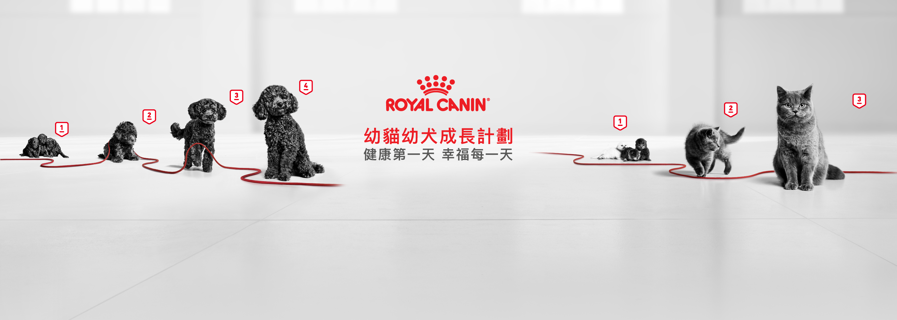 立即登記 | 索取升級版Royal Canin幼貓幼犬營養系列產品體驗裝