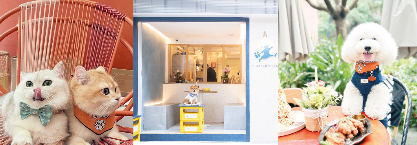 Top 10 Pet Friendly Restaurants in Hong Kong 2023 ｜ PET-A-HOOD's member can enjoy Free PET MENU