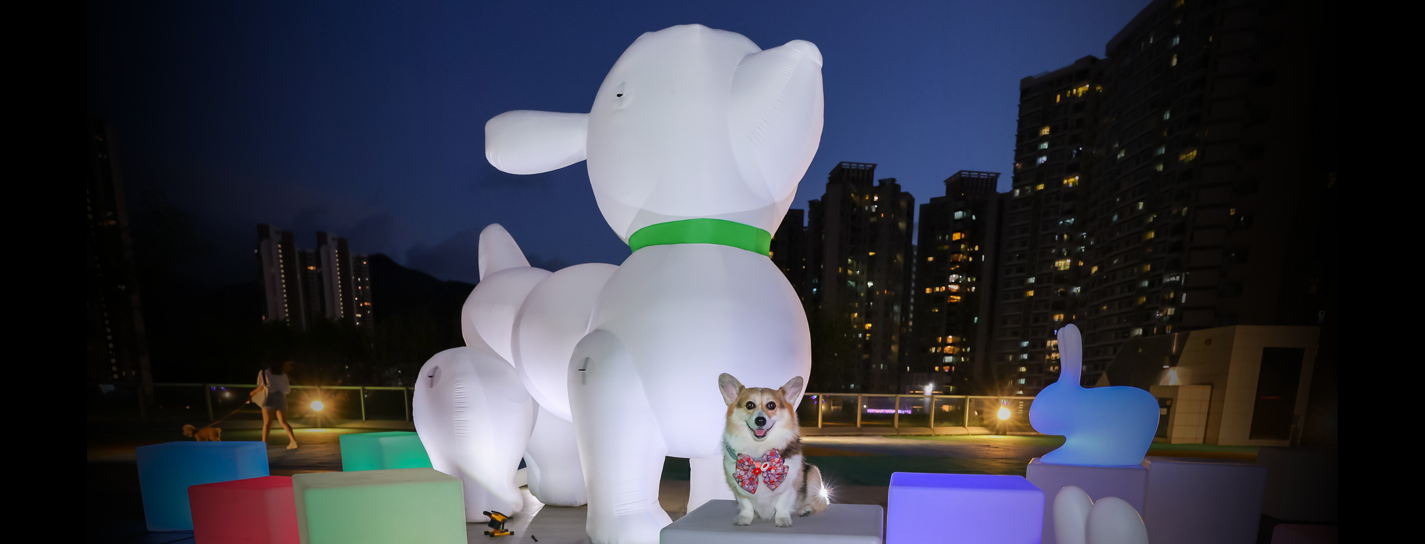 Mid-Autumn Festival 2023: 5 Best Places for Pets to Go