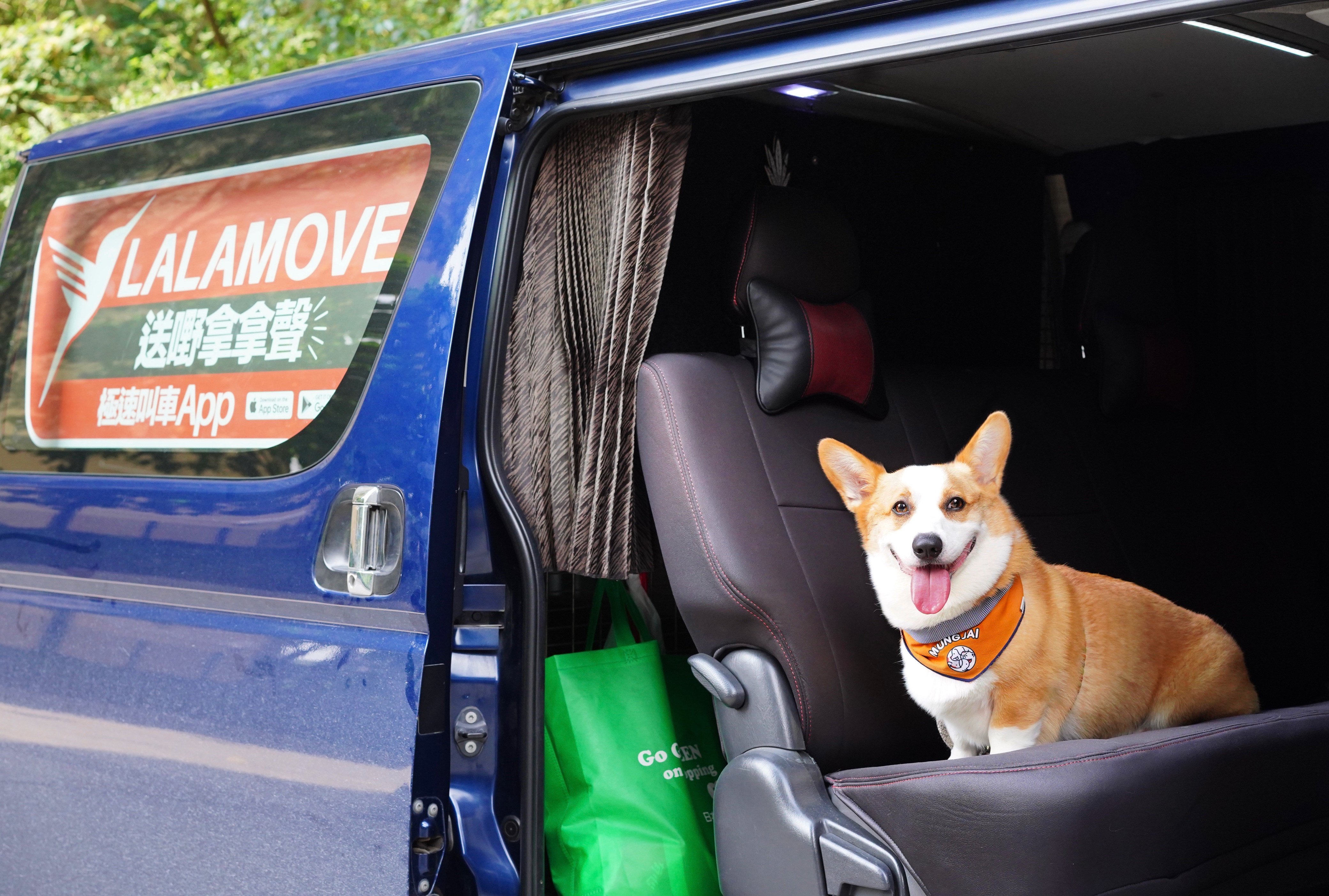 Hong Kong Pet-friendly Transportation Service with Exclusive Membership Offer