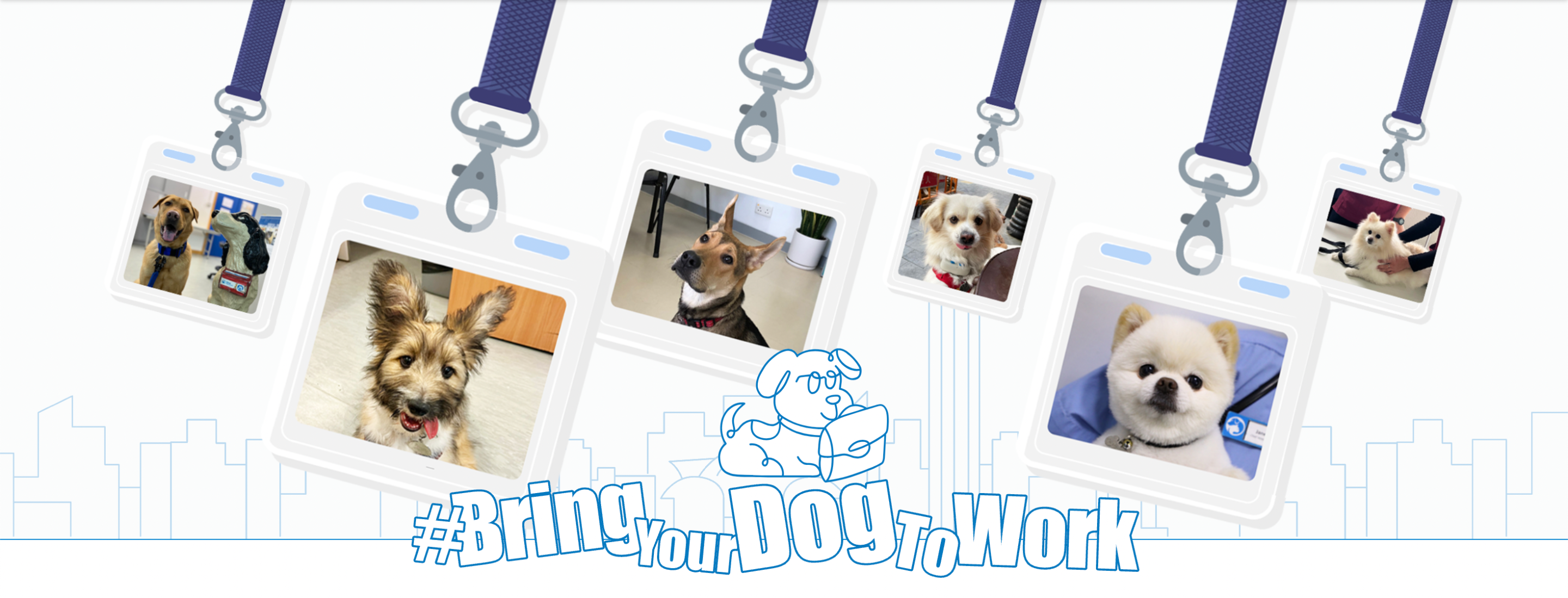 香港愛護動物協會推動「帶狗狗上班」 在香港推動狗狗友善的辦公室文化