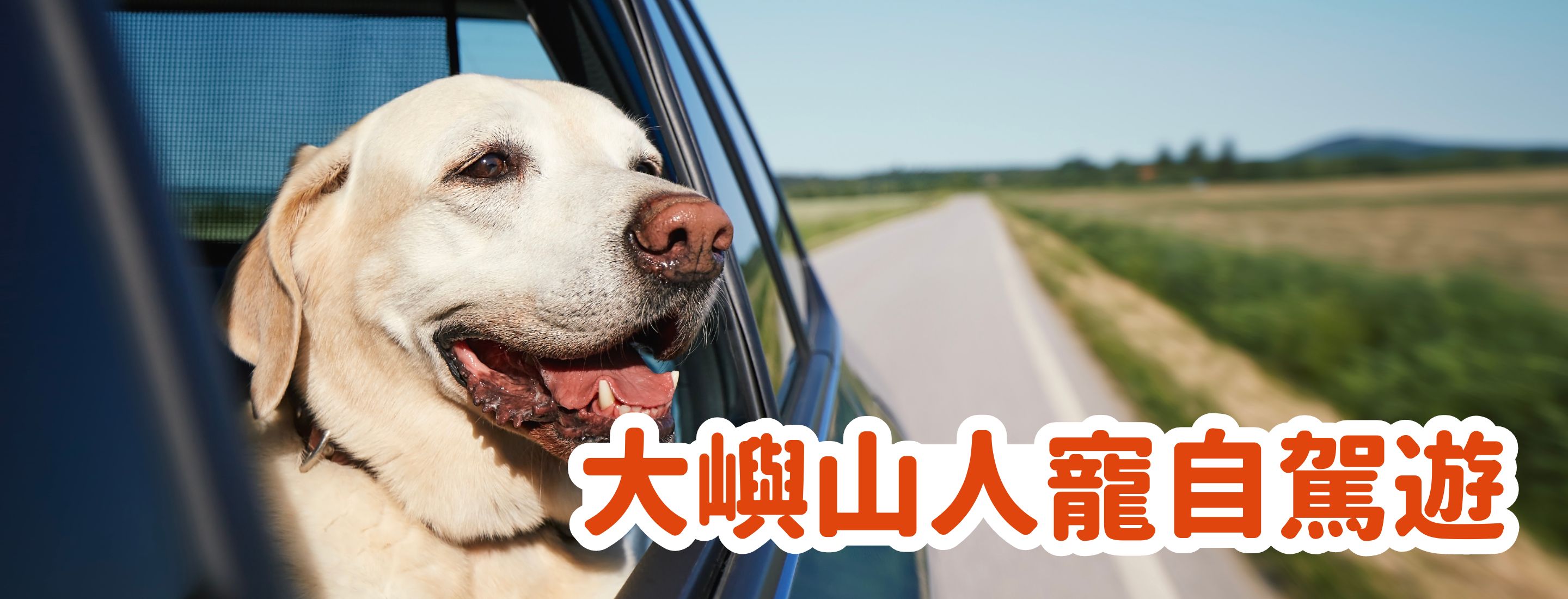 Lantau Island Road Trip Recommendations｜Bring your pet to explore new secluded places to get fresh air