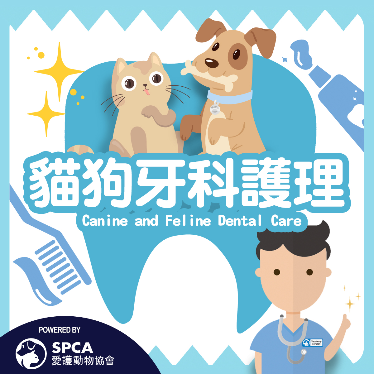 Canine and Feline Dental Care ｜ Let’s Talk about Teeth!