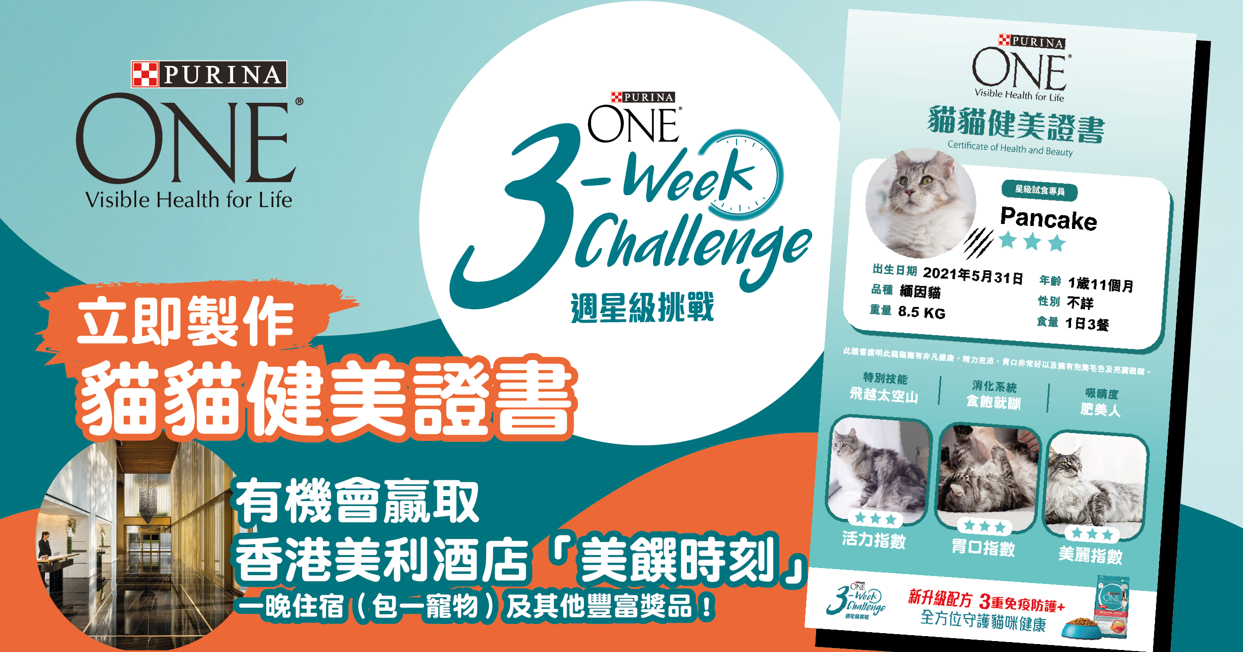 立即參加 ｜ PURINA ONE® - 3週星級挑戰 成為星級食家 有機會贏取香港美利酒店一晚住宿