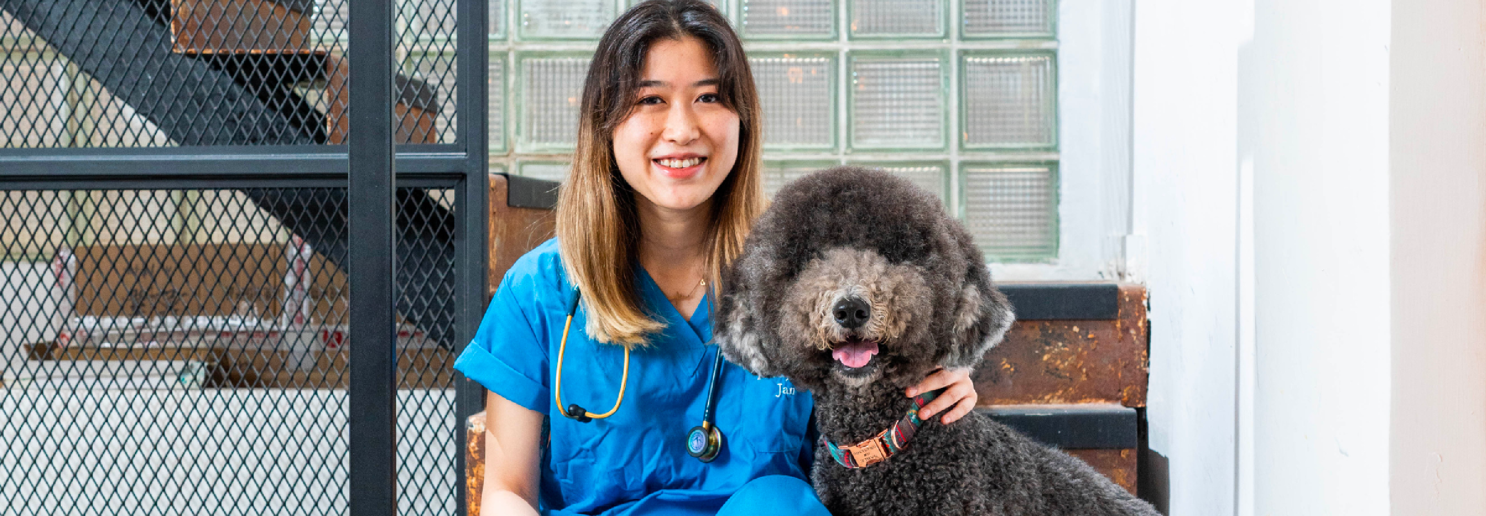 Tips from Veterinary Nurse｜Bath & Blow Dry is the Key to Cure the Skin Disease of Cats and Dogs