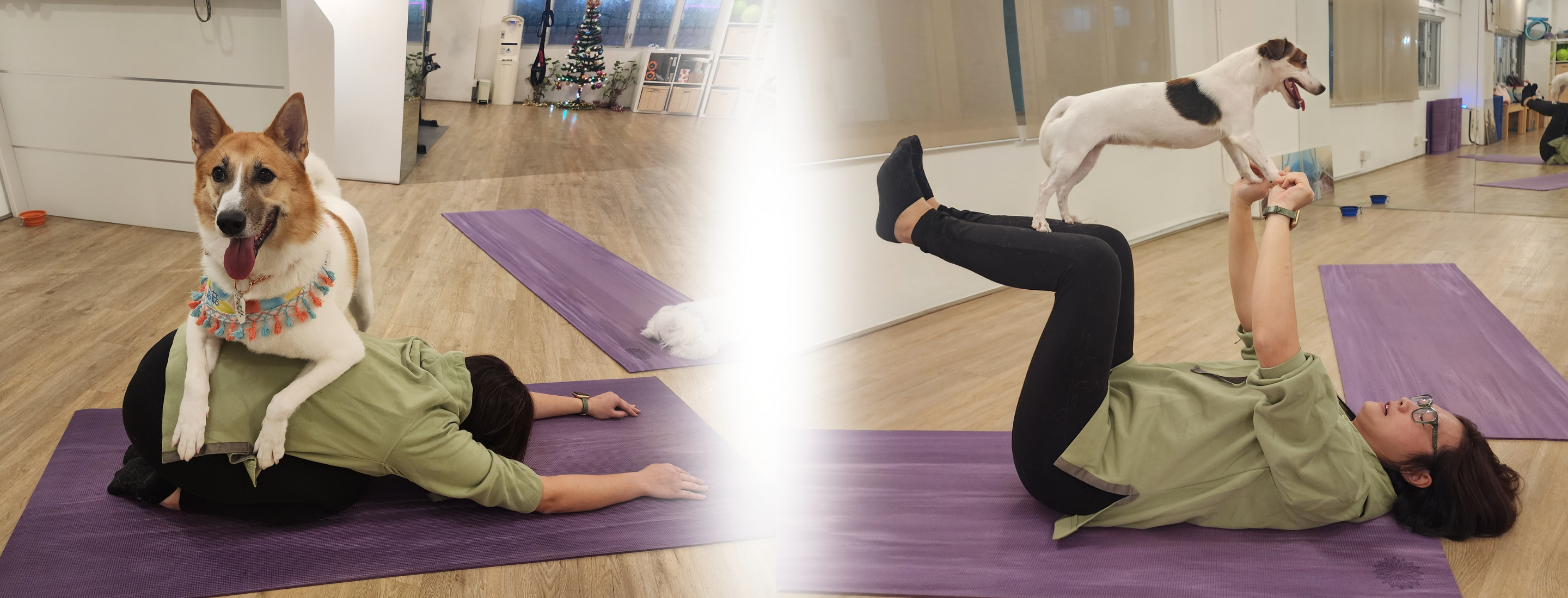 Yoga with Dogs：3 Benefits of Doga for You and Your Dog