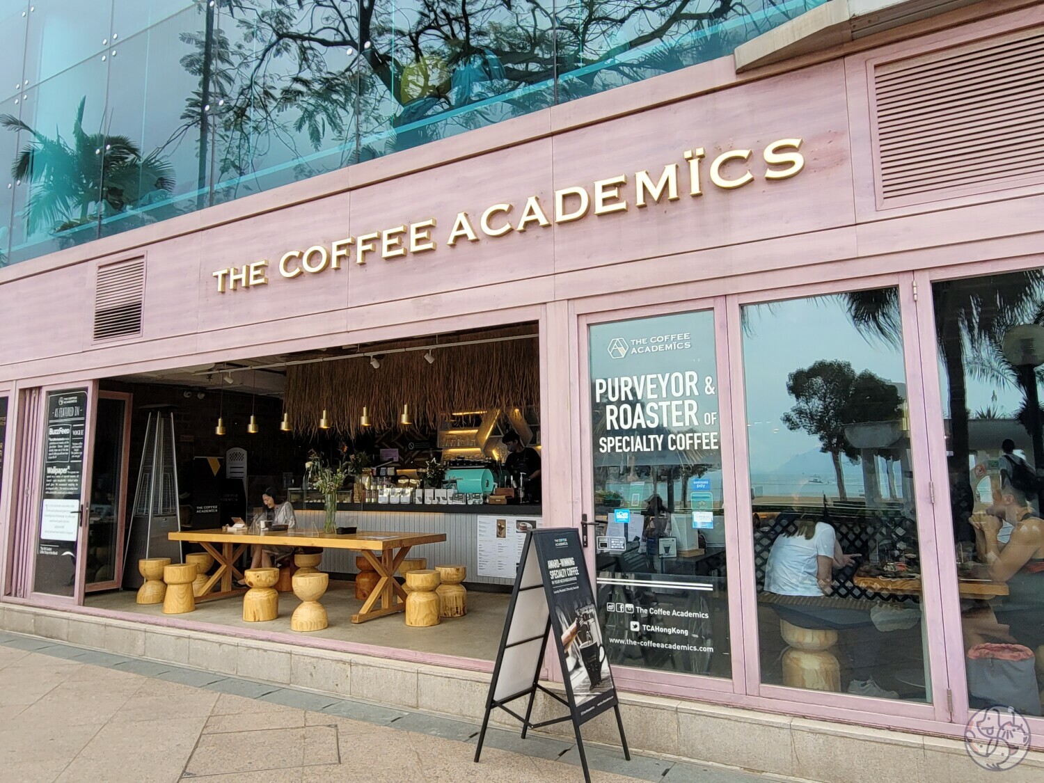 Coffee Beans - The Coffee Academïcs – The Coffee Academics