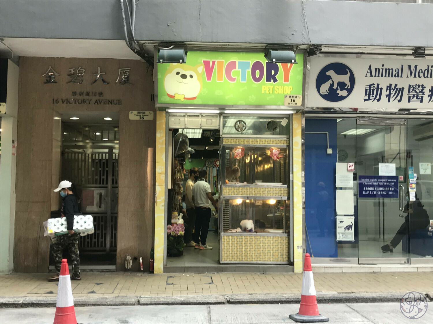 Victory Pet Shop KowloonKowloon City District PET A HOOD Pet